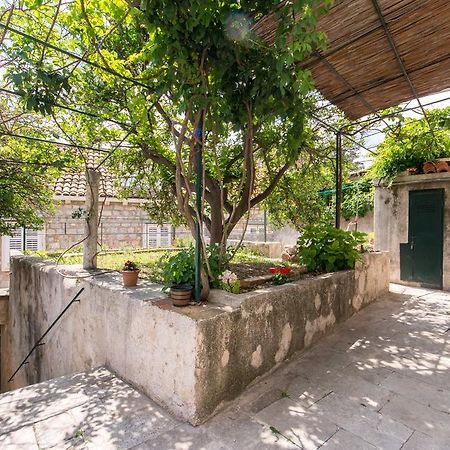Summer Day Room Дубровник Екстер'єр фото